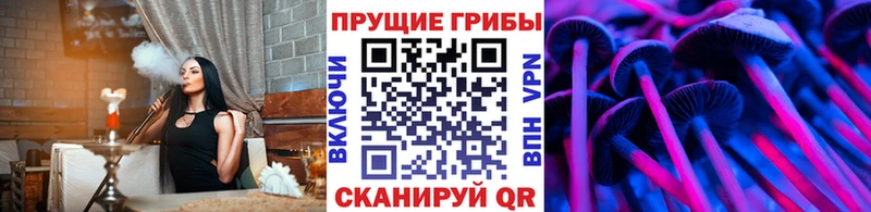 цены наркотик  Вичуга  Галлюциногенные грибы ЛСД 
