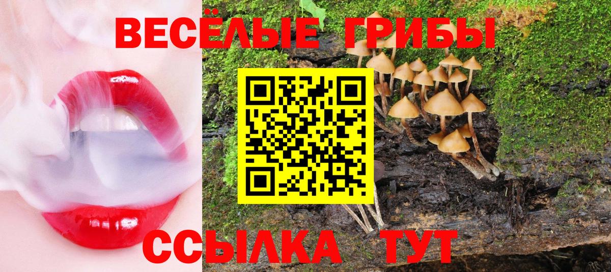 Галлюциногенные грибы Magic Shrooms Вичуга