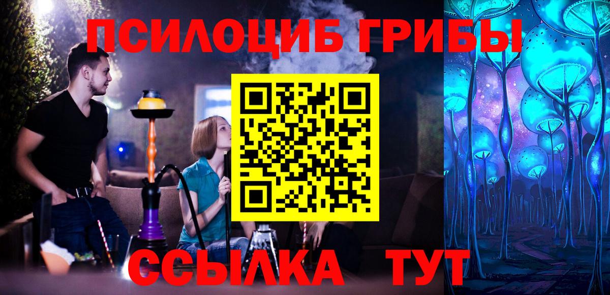 Псилоцибиновые грибы GOLDEN TEACHER Вичуга