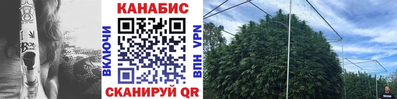 Марихуана семена  Вичуга 